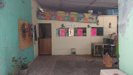 Estetica Canina Golden Gold