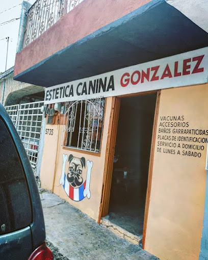 Negocio Éstetica Canina González