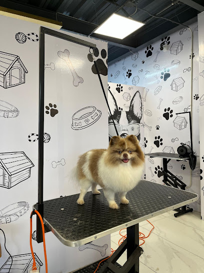 Negocio Estética Canina Guau Guau Spa