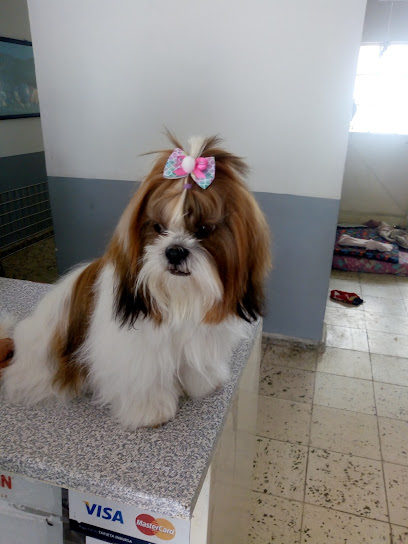 Estética Canina Happy Puppy