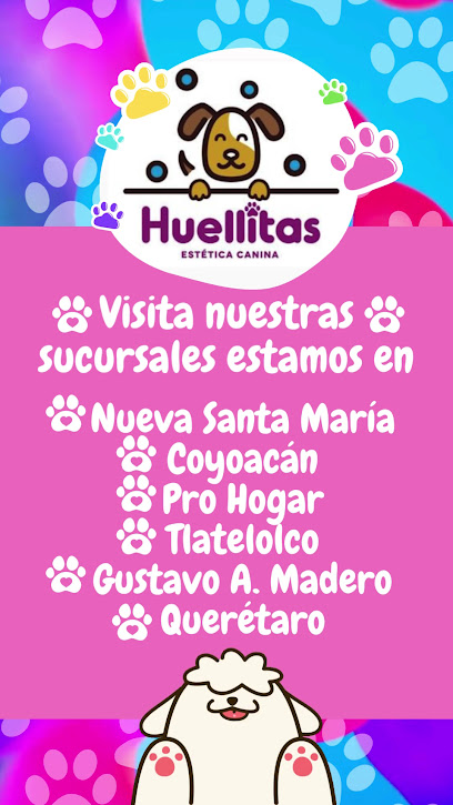 Estética Canina Huellitas