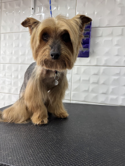 Negocio Estética Canina Huellitas Pro Hogar