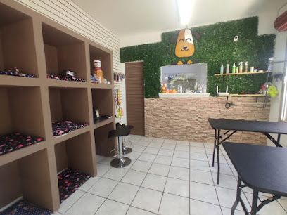 Estética Canina Huellitas