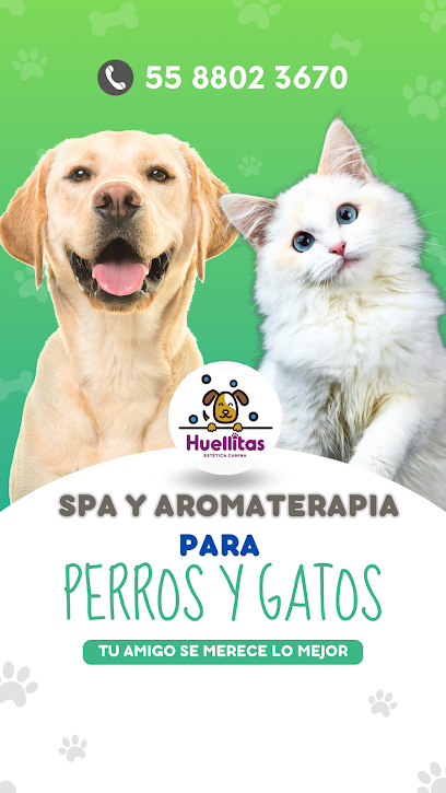 Estética Canina Huellitas