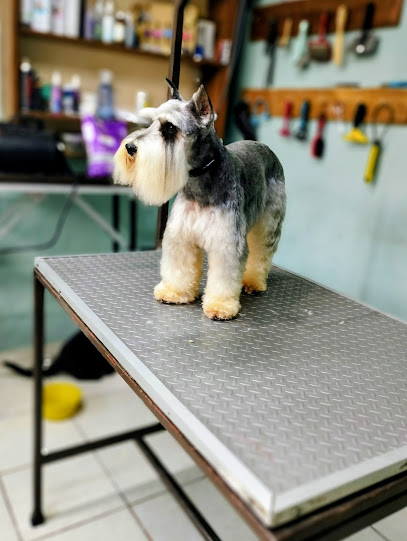 Estética Canina Kaiser
