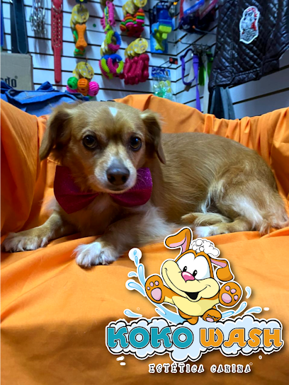 Negocio Estetica Canina Koko Wash Chilpancingo