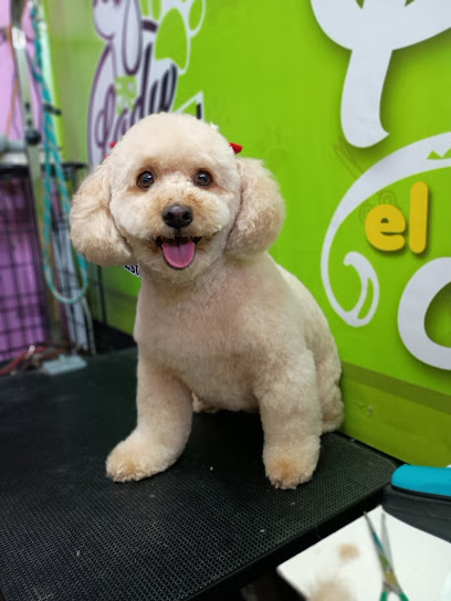 Negocio Estetica Canina Lady Guau