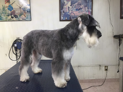Negocio Estética Canina López Hermanos
