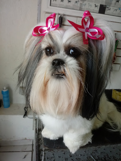 Negocio Estética Canina López
