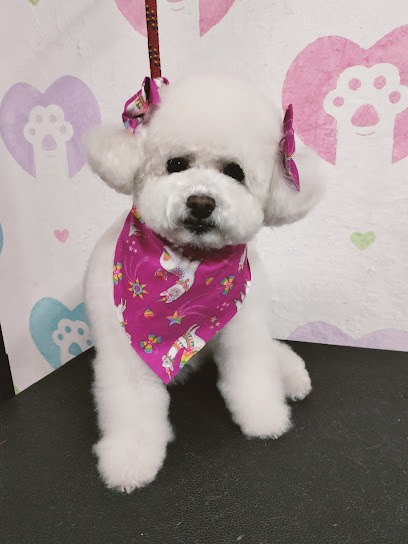 Estética Canina Magic Pets