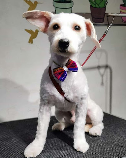Negocio Estetica Canina Malish Style