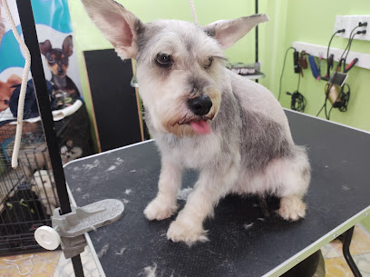 Estética Canina Mascota Feliz