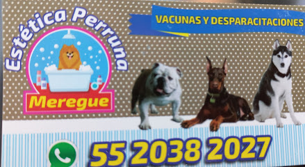 Negocio Estetica Canina Merengue