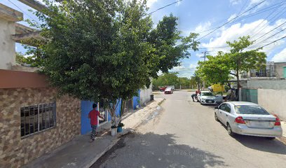 Estetica Canina Mi Fiel Amigo