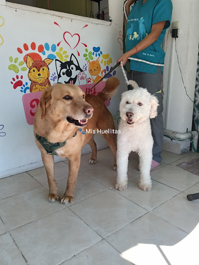 Negocio Estética Canina Mis Huellitas