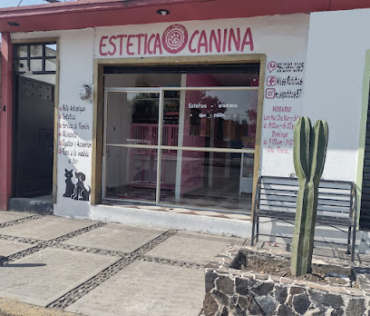 Estética Canina Miss Patitas
