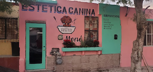 Estética Canina Moné