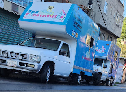 Estetica Canina Movil Spa Consentirlos