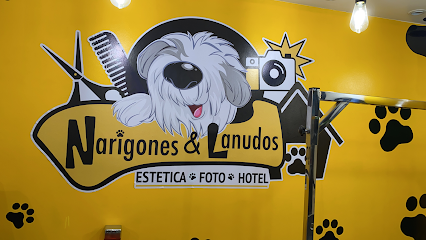 Estética Canina Narigones Y Lanudos