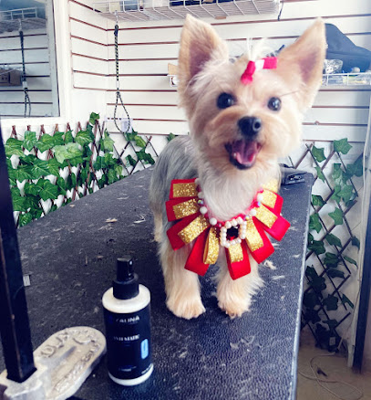 Estetica Canina Nuditos Ian