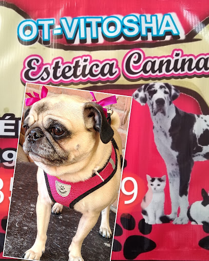 Estética Canina Ot- Vitosha