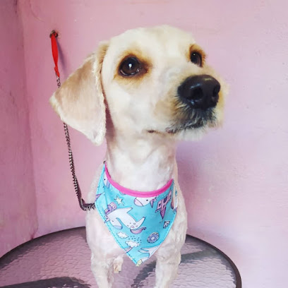 Negocio Estética Canina Palmi
