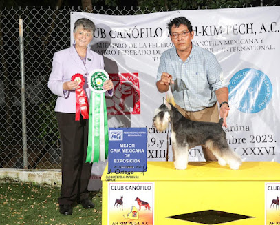 Negocio Estética Canina Pata De Perro, Cd Del Carmen