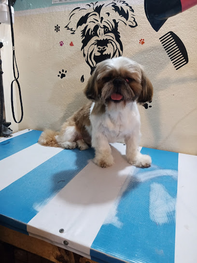 Estética Canina Pelu-Puppies