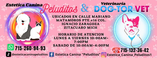 Negocio Estetica Canina Peluditos &Amp; Dog-Torvet