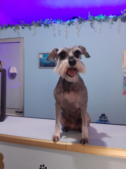 Estetica Canina Pelupet
