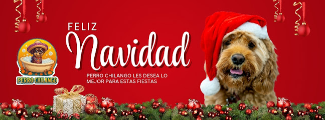 Negocio Estética Canina Perro Chilango