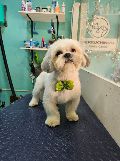Negocio Estetica Canina Perruchino&Apos;S