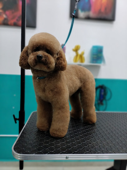 Negocio Estética Canina Pet&Apos;S Grooming