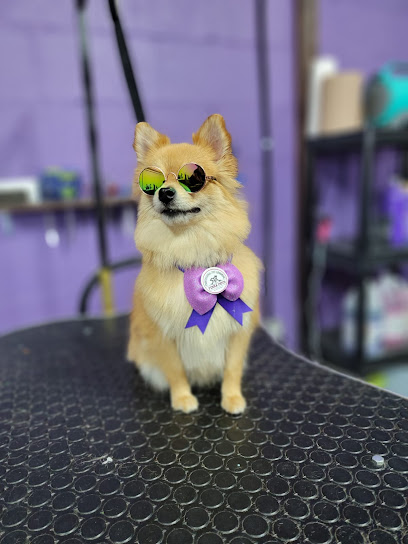 Negocio Estetica Canina Pinka Pets