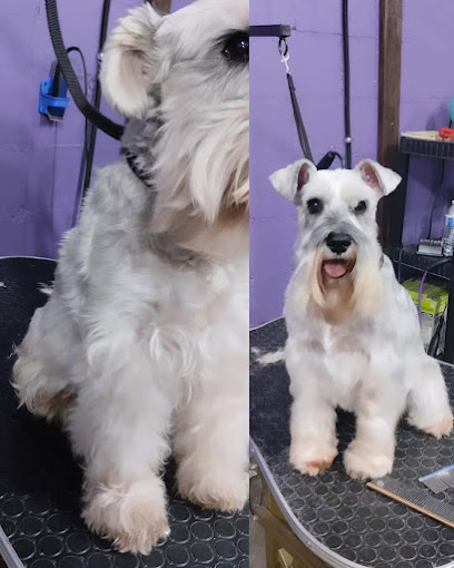 Estetica Canina Pomme Guapo