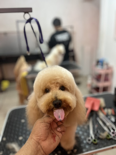 Estética Canina Profesional Sandoval