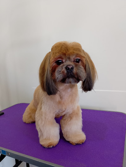 Estética Canina Profesional Victor Melendes