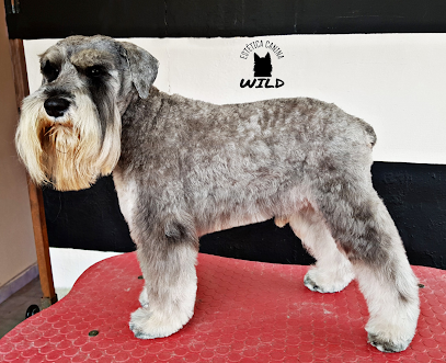 Negocio Estética Canina Profesional Wild