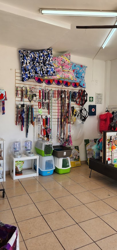 Negocio Estética Canina Puppies Spa Querétaro