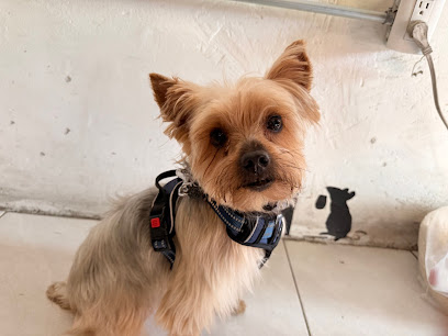 Estetica Canina &Quot;De Pelos&Quot;