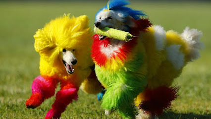 Negocio Estetica Canina &Quot;Groomer Bony&Quot;