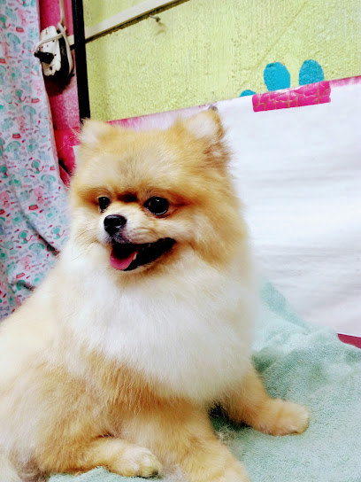 Estetica Canina &Quot;Guaperrimo Guau&Quot;