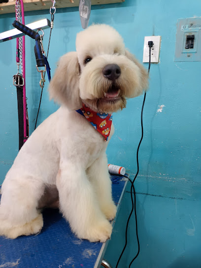 Negocio Estética Canina &Quot;Happy Paws&Quot;