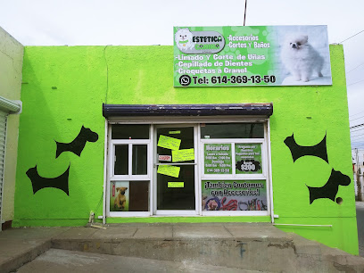 Estetica Canina &Quot;La Pomerania&Quot;