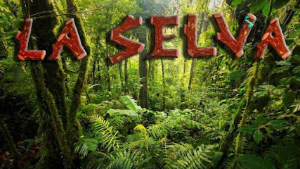 Estética Canina &Quot;La Selva&Quot;