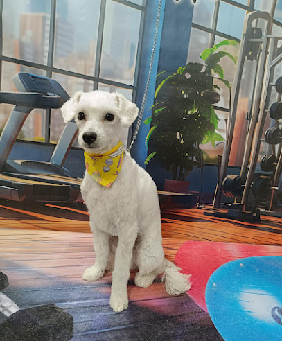 Estetica Canina &Quot;Manita De Gato&Quot;