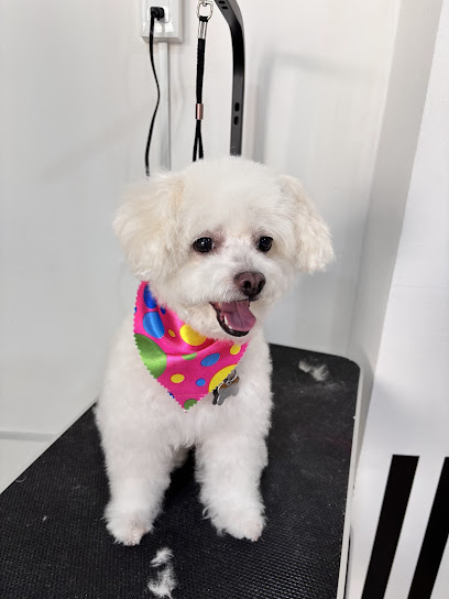Negocio Estetica Canina &Quot;Royal Pet, Grooming Salon &Amp; Spa&Quot;