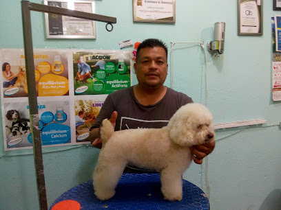 Negocio Estetica Canina &Quot;Snoopy&Quot;