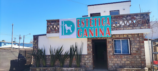 Negocio Estética Canina Rosarito México