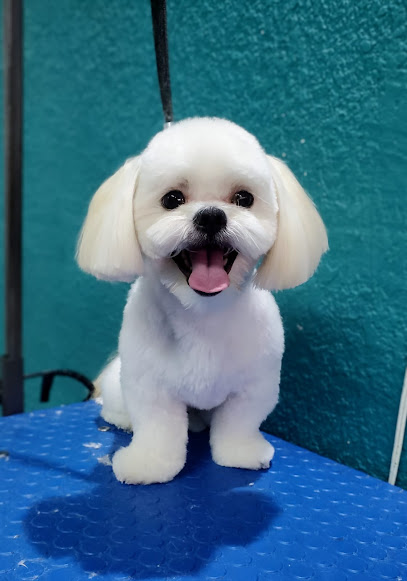 Negocio Estetica Canina Royalpets